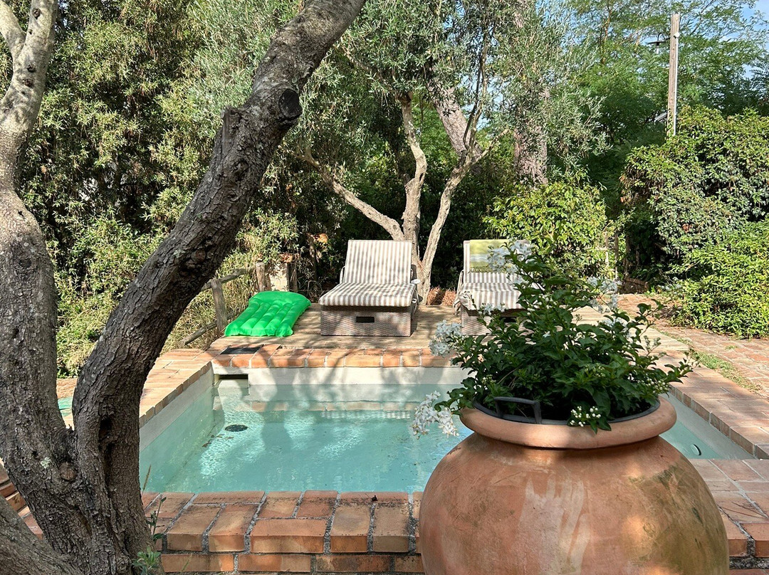 B&B At Home In Maremma主图