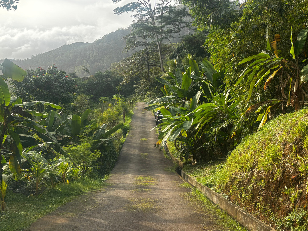 Vallée Des Fruits-大安塞区必去景点