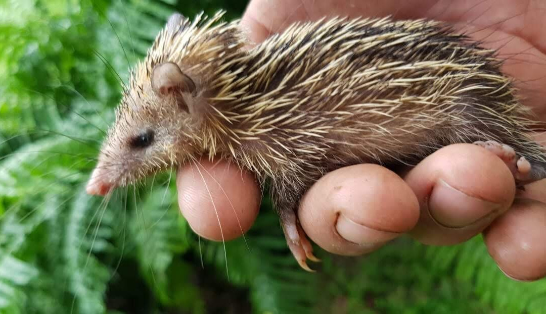 Bitasyon Bio-Saint-Philippe必去景点