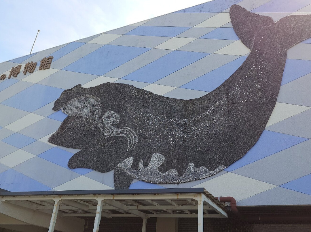 Taiji Whale Museum-太地町必去景点