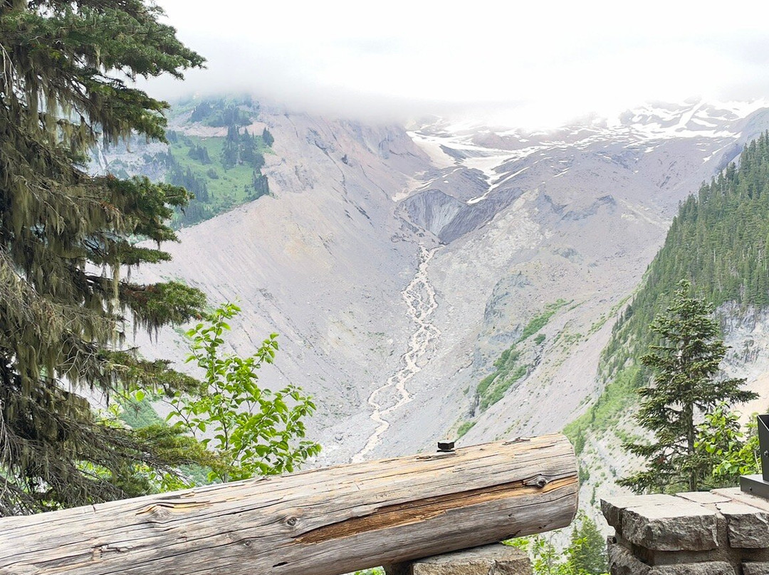 Nisqually Vista Loop-雷尼尔山国家公园必去景点