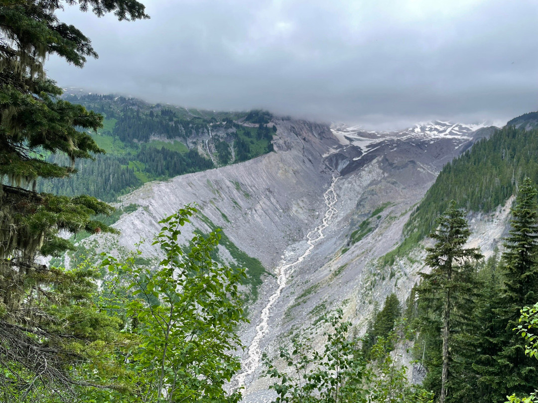 Nisqually Vista Loop-雷尼尔山国家公园必去景点