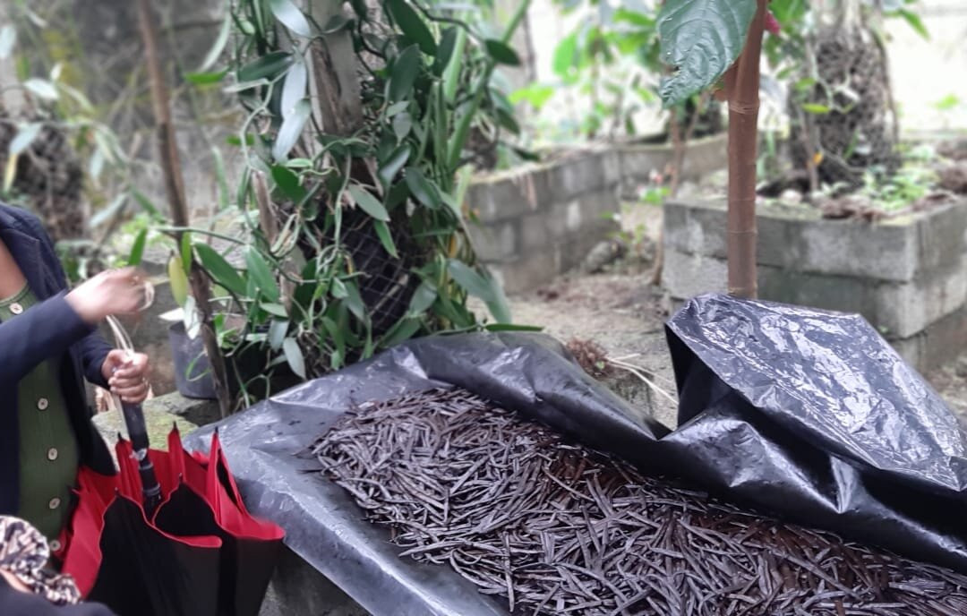 Le Jardin de la Vanille et l'Epice-路易士港必去景点