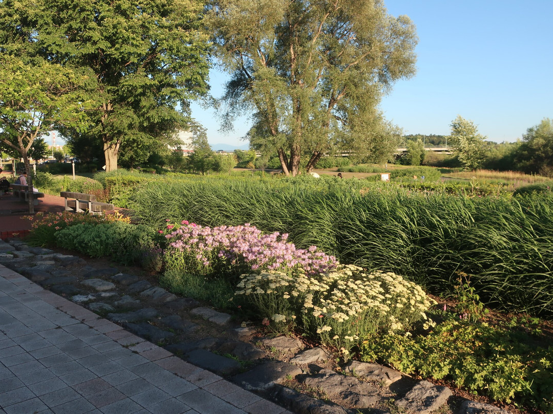 Asahikawa Kitasaito Garden-旭川市必去景点