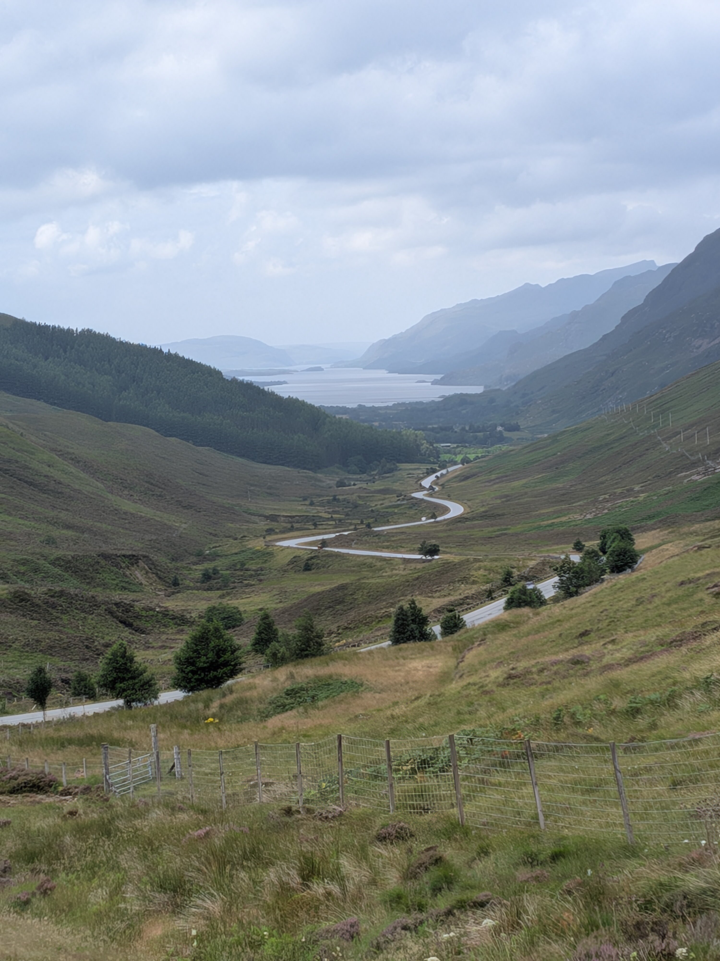 The Torridon-官方