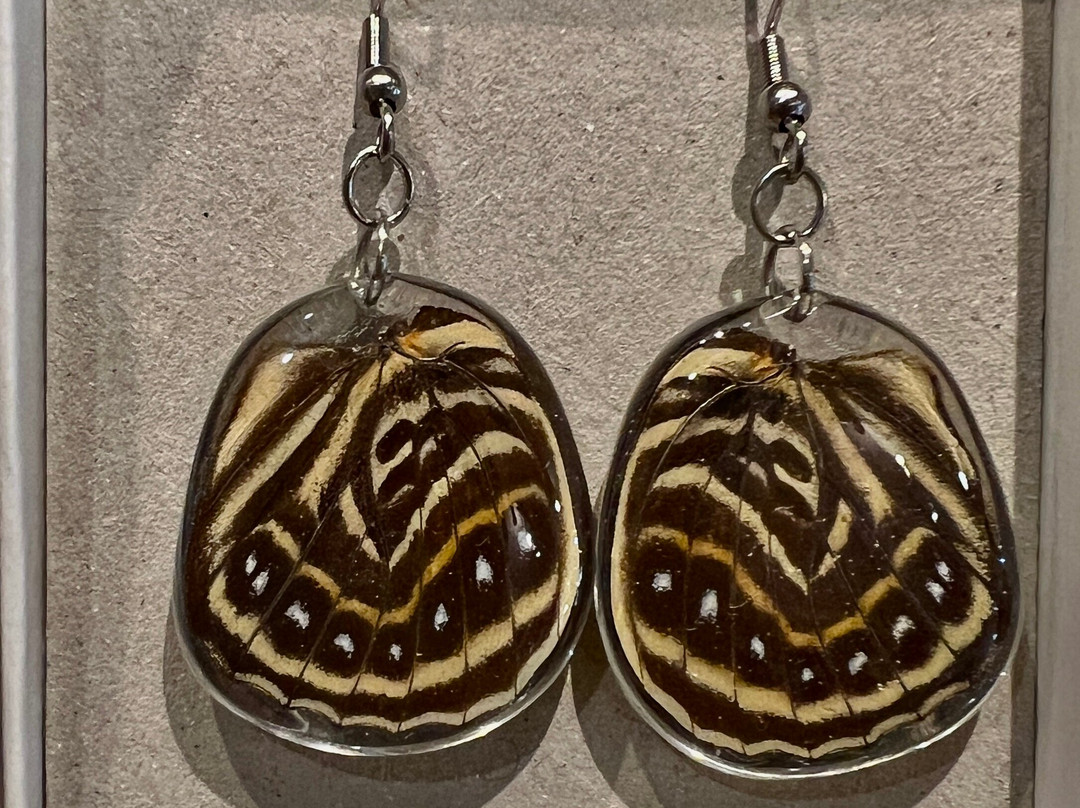 Tico Pod Art House & Gifts-哈科必去景点