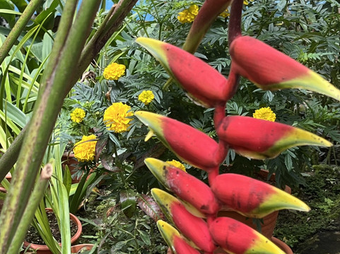 On Tour (M) Sdn Bhd-马六甲必去景点