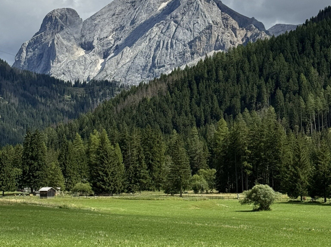 克拉伯阿德勒健康家庭酒店主图