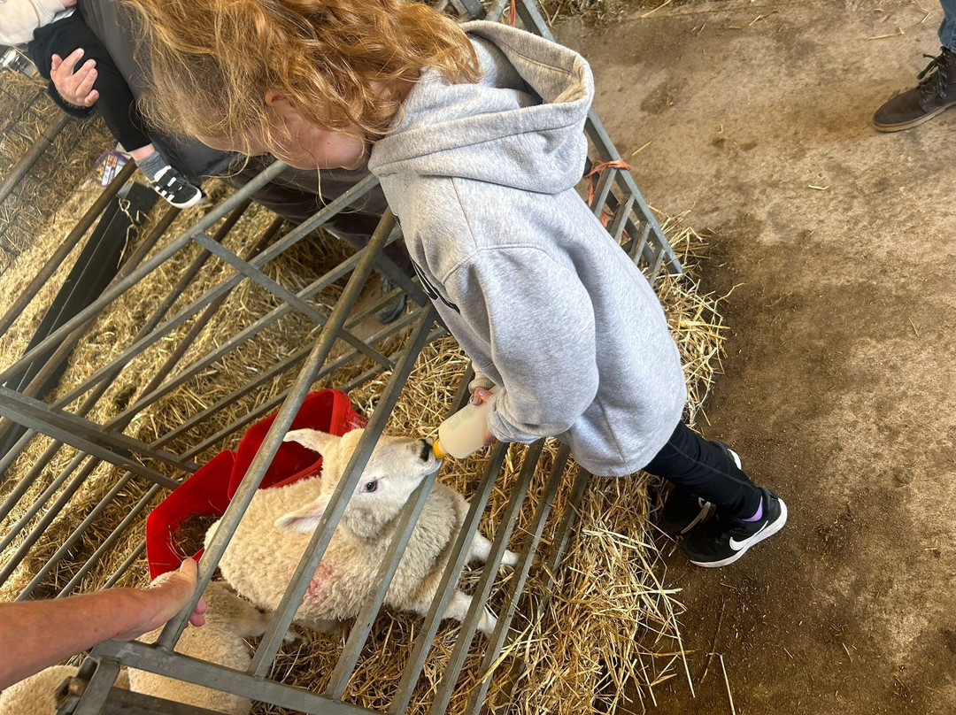 Bellevue Farm Tours-Blackwaterfoot必去景点