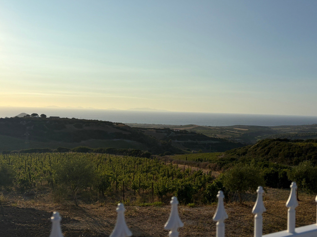 Tenute Dettori-Sennori必去景点