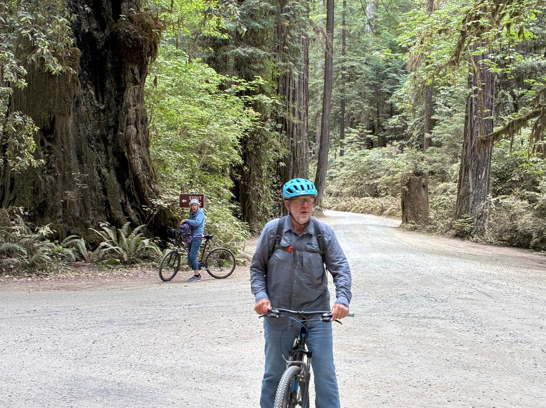 Redwood Rides-Hiouchi必去景点