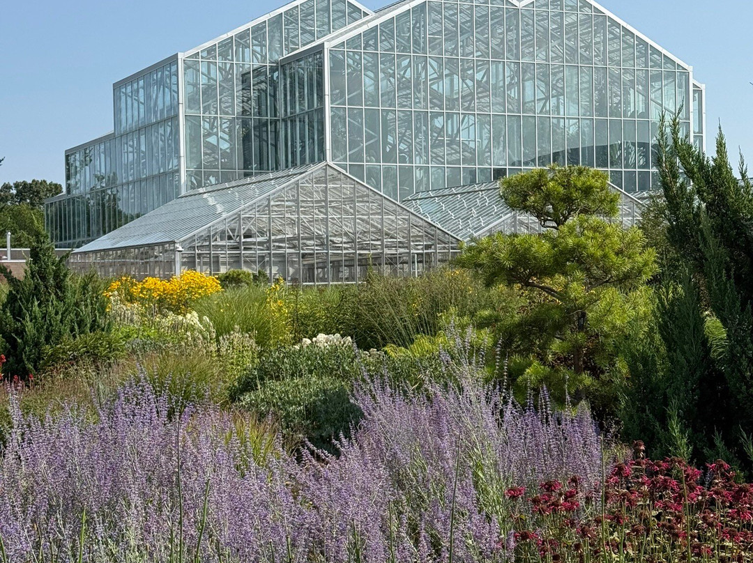 Best Western Hospitality Hotel & Suites主图