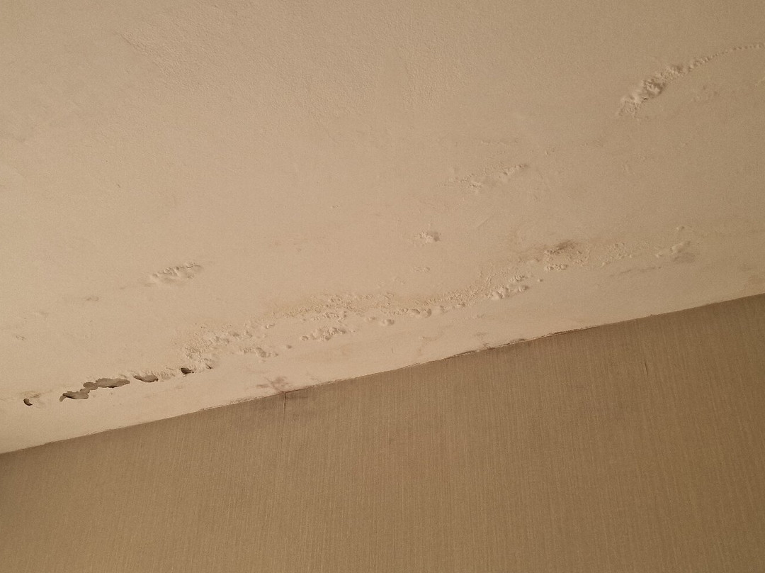 Hotel Abade Joao主图