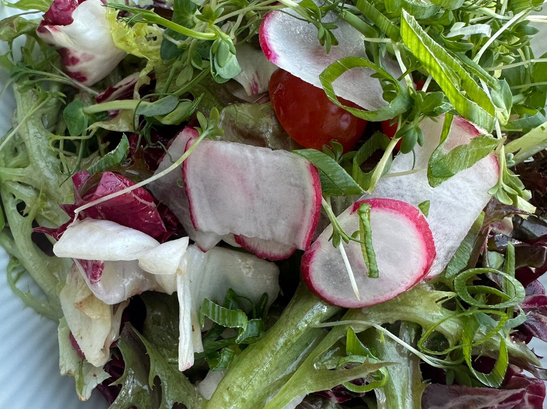 Hotel Gasthof Bayerischer Hof Spalt主图