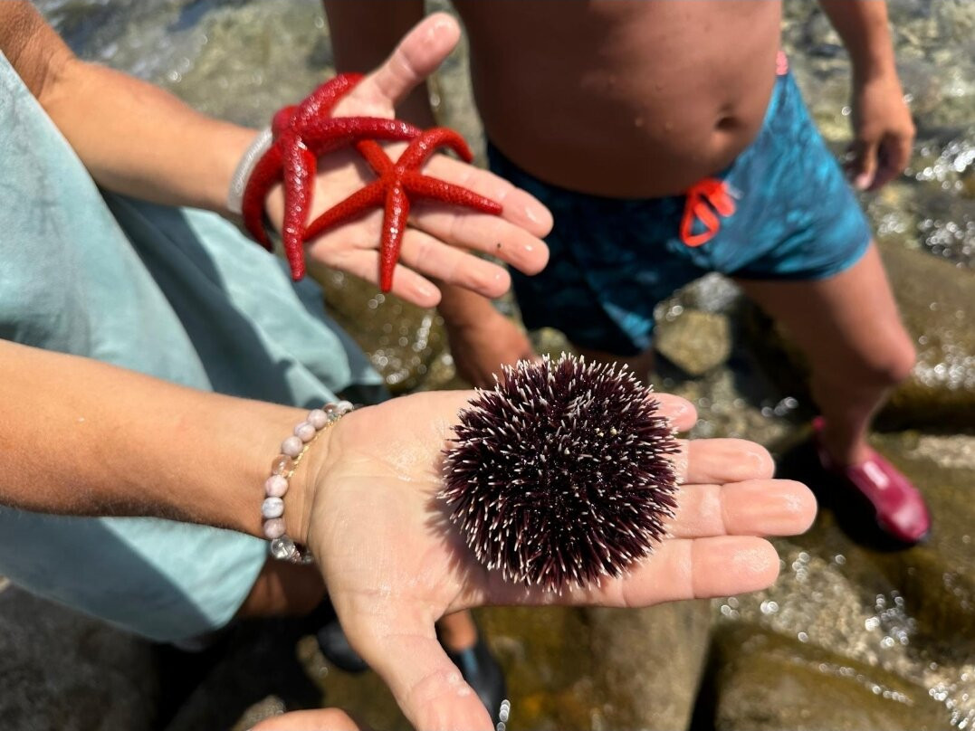 Sud Nautik-Belvedere-Campomoro必去景点