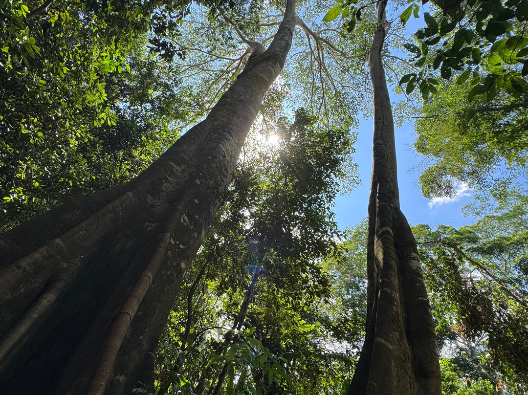 GREEN HOUSE TAMBOPATA-Filadelfia必去景点