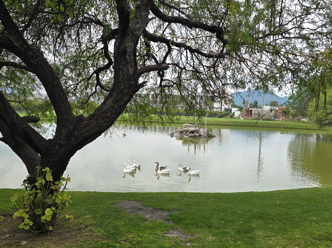 Viñedos Azteca-Ezequiel Montes必去景点