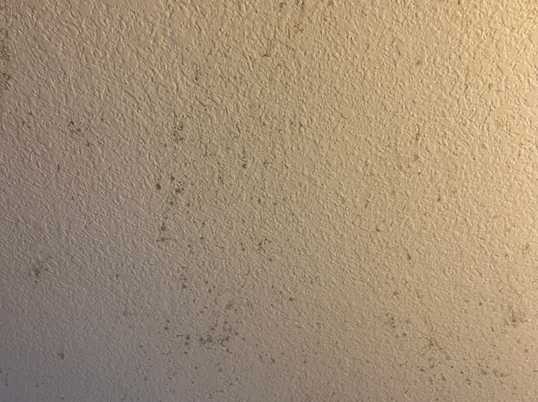 Super 8 by Wyndham Rolla主图