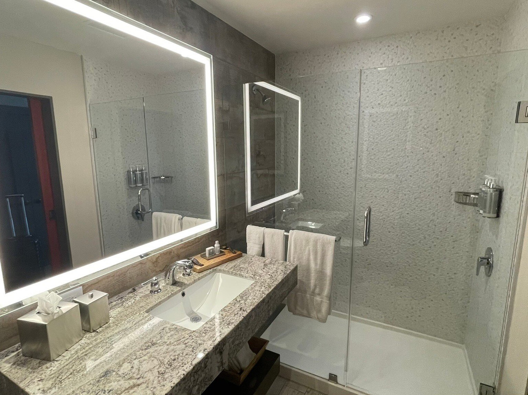 The Stella Hotel, Autograph Collection主图