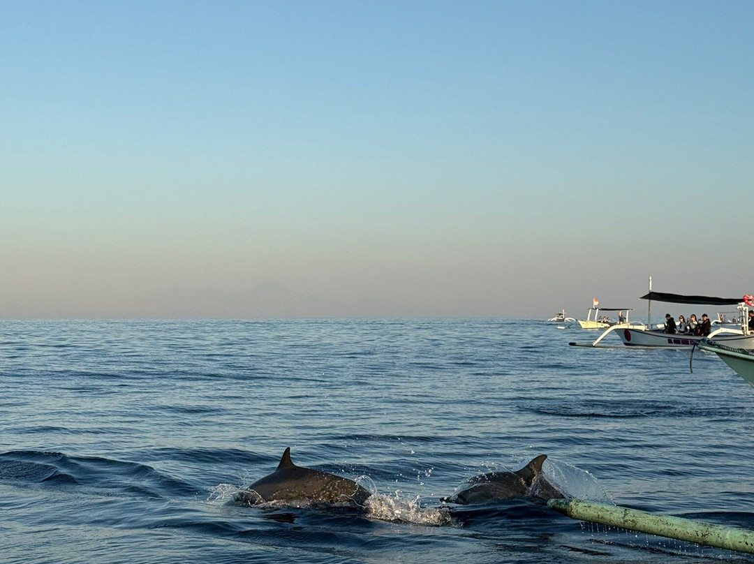 Lovina Bali Transport-新加拉惹必去景点