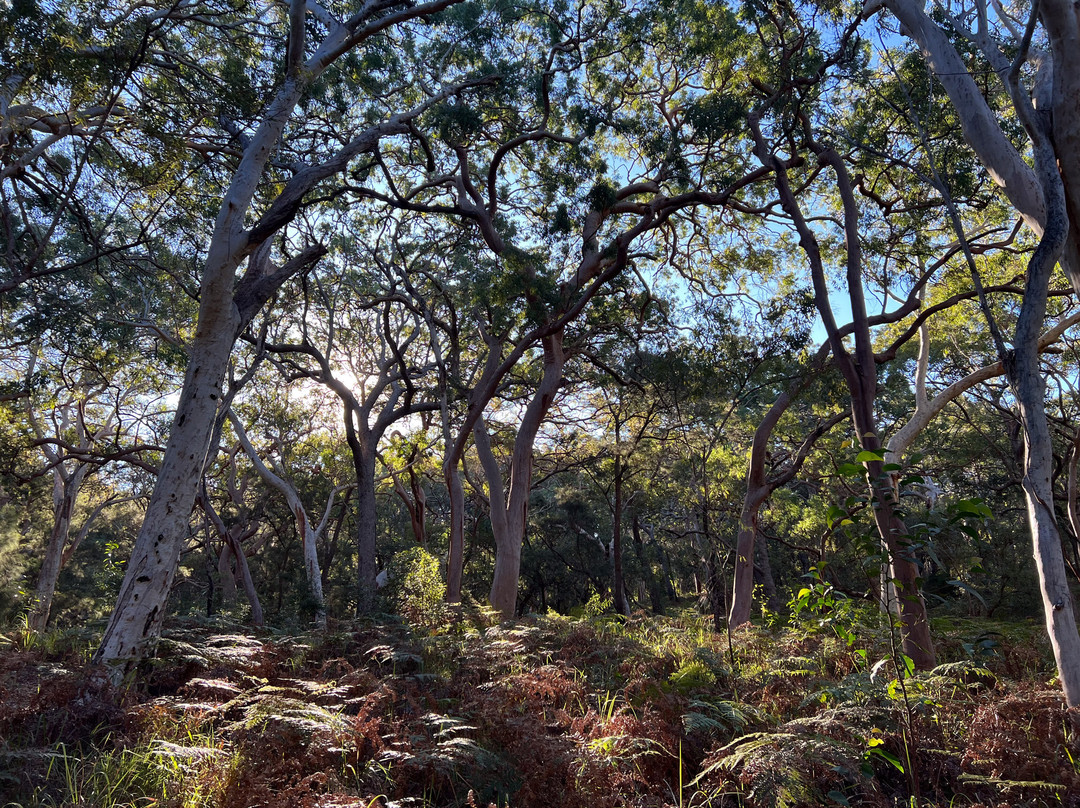 Auswalk Walking Holidays-墨尔本必去景点