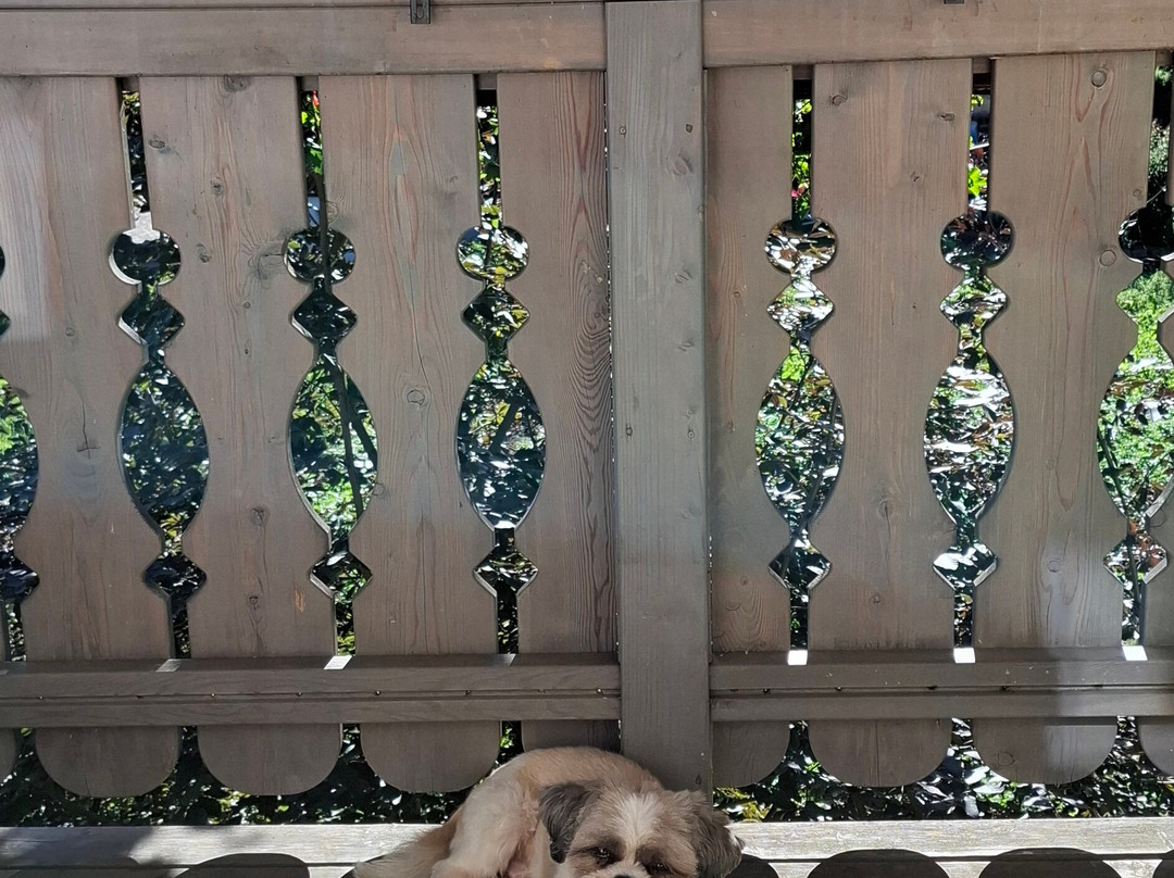 克拉伯阿德勒健康家庭酒店主图