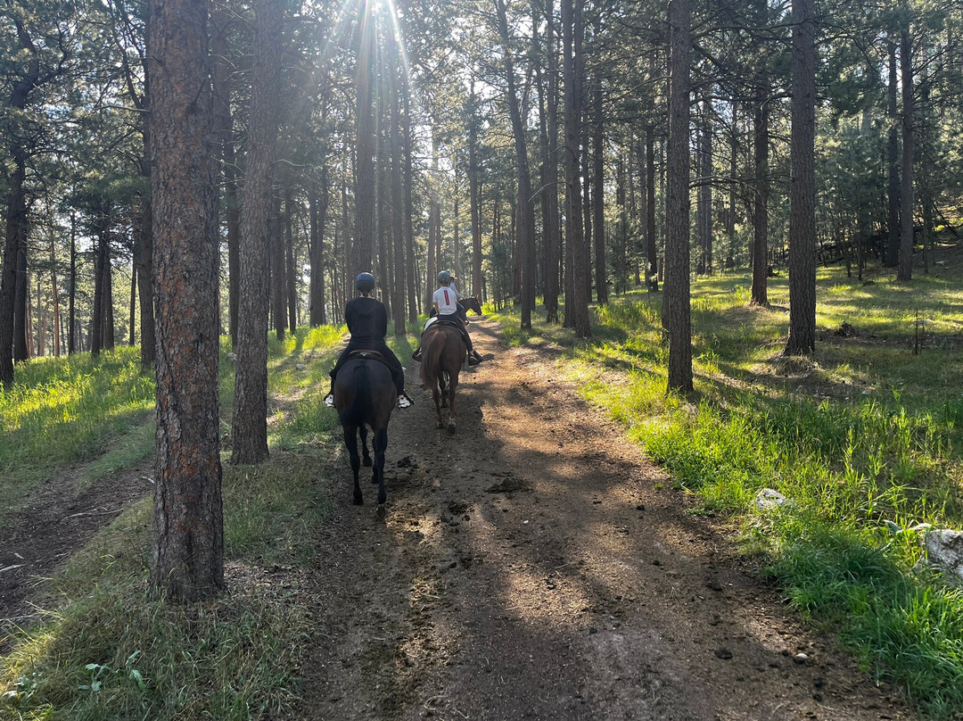 Blue Bell Stables-卡斯特必去景点