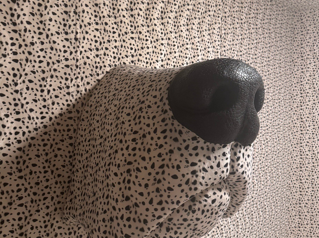 Home Of The Dalmatian Dog-希贝尼克必去景点