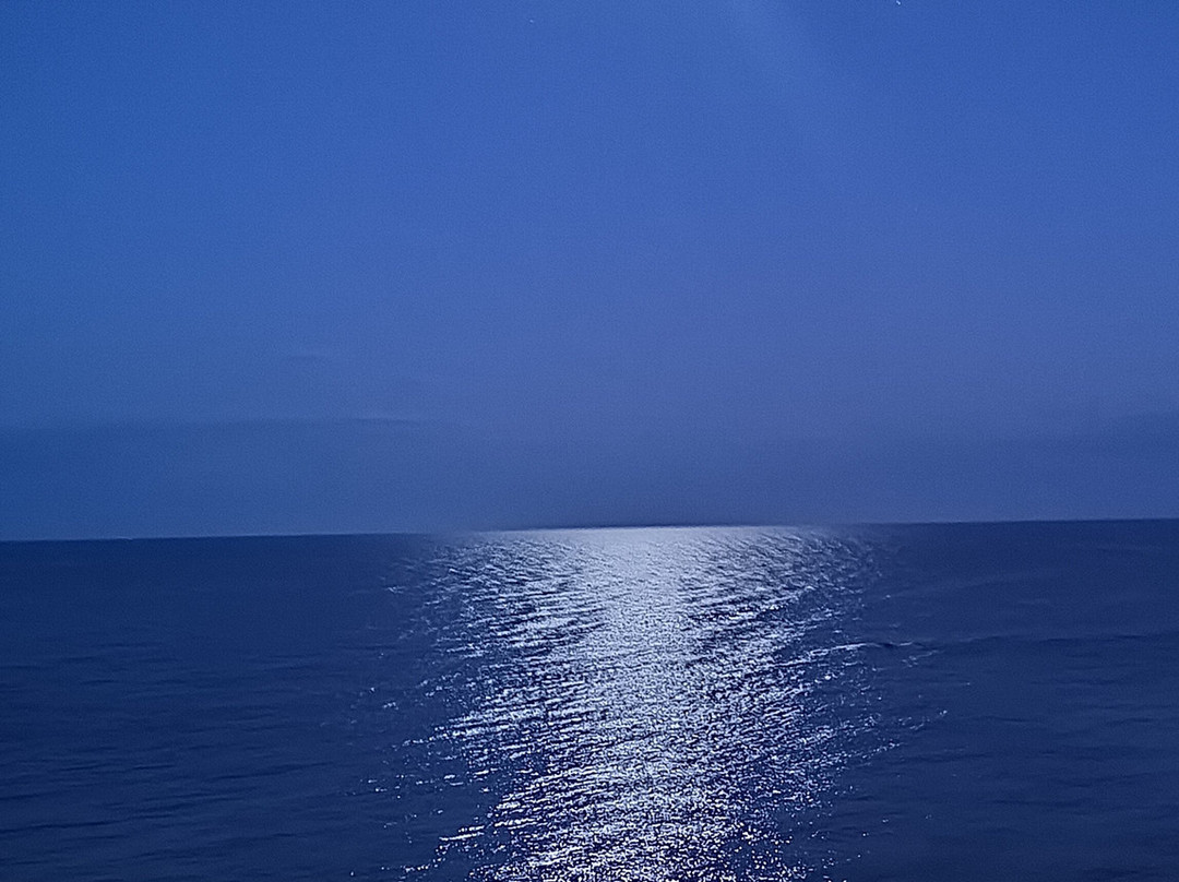 Mare E Sole Villa Urso主图