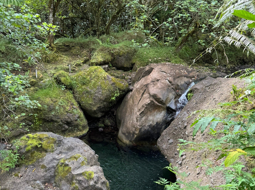 Tetapua Quad Tahiti ATV-帕皮提必去景点
