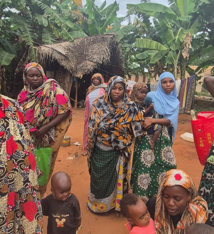 Discover Zanzibar with Mr Brown-桑给巴尔岛必去景点