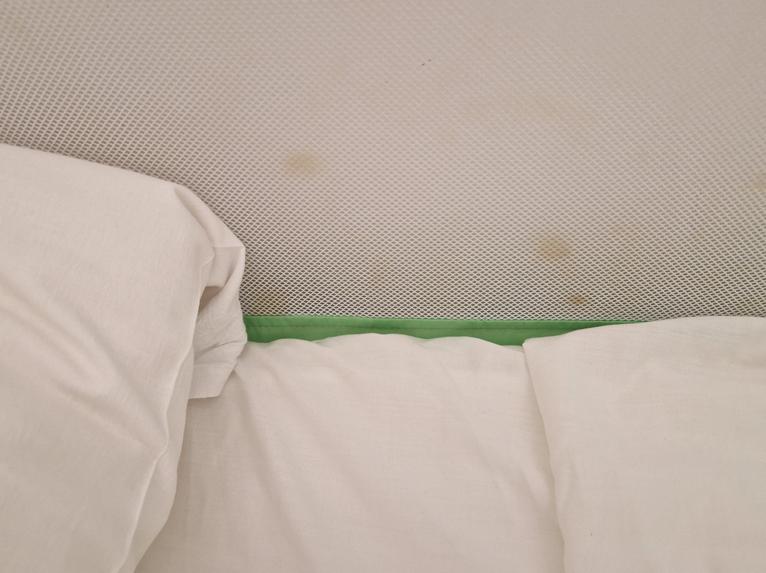 Hotel Saint Tropez主图