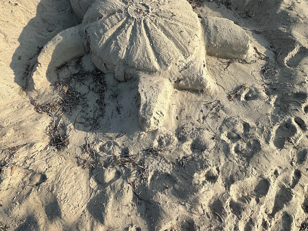 Ria's Beach-Marmari必去景点