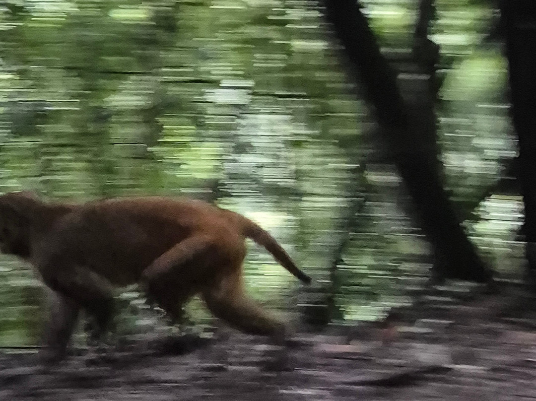 Shivapuri Nagarjun National Park-加德满都必去景点