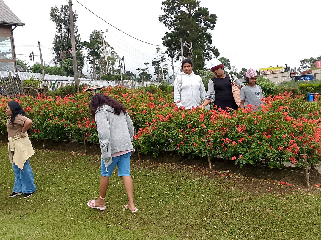 mini tuk tuk nanuoya tours-Nanu Oya必去景点