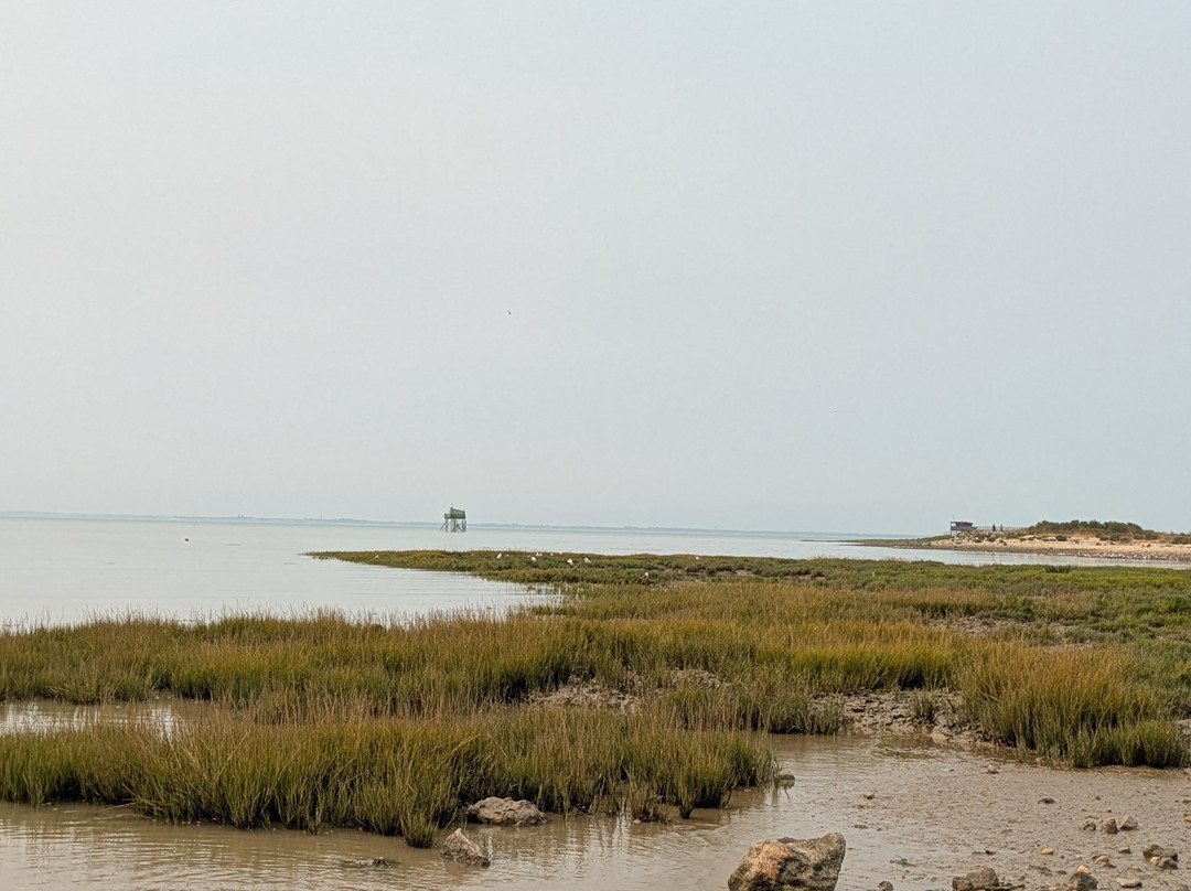 Ile Madame-Port-des-Barques必去景点