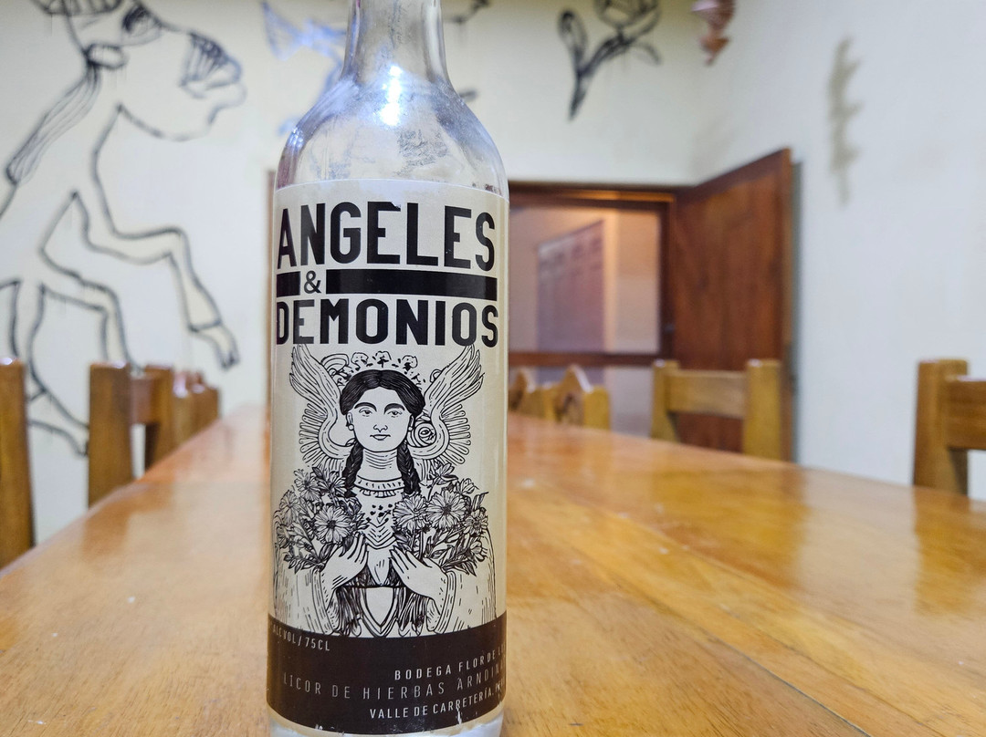 La casa de Isidora主图