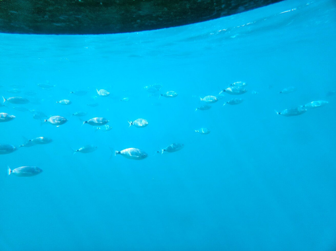 Semisubmarine Malinska-马林斯卡必去景点