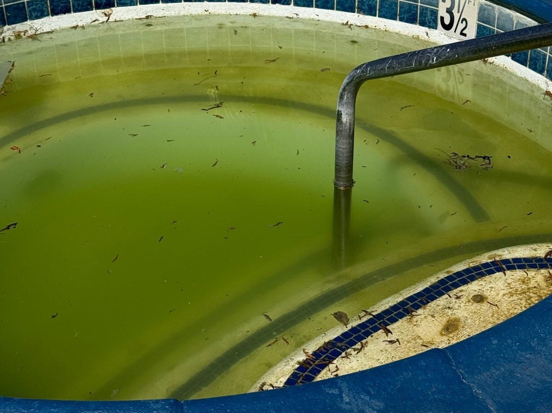 贝斯特韦斯特约书亚树国家公园花园酒店主图