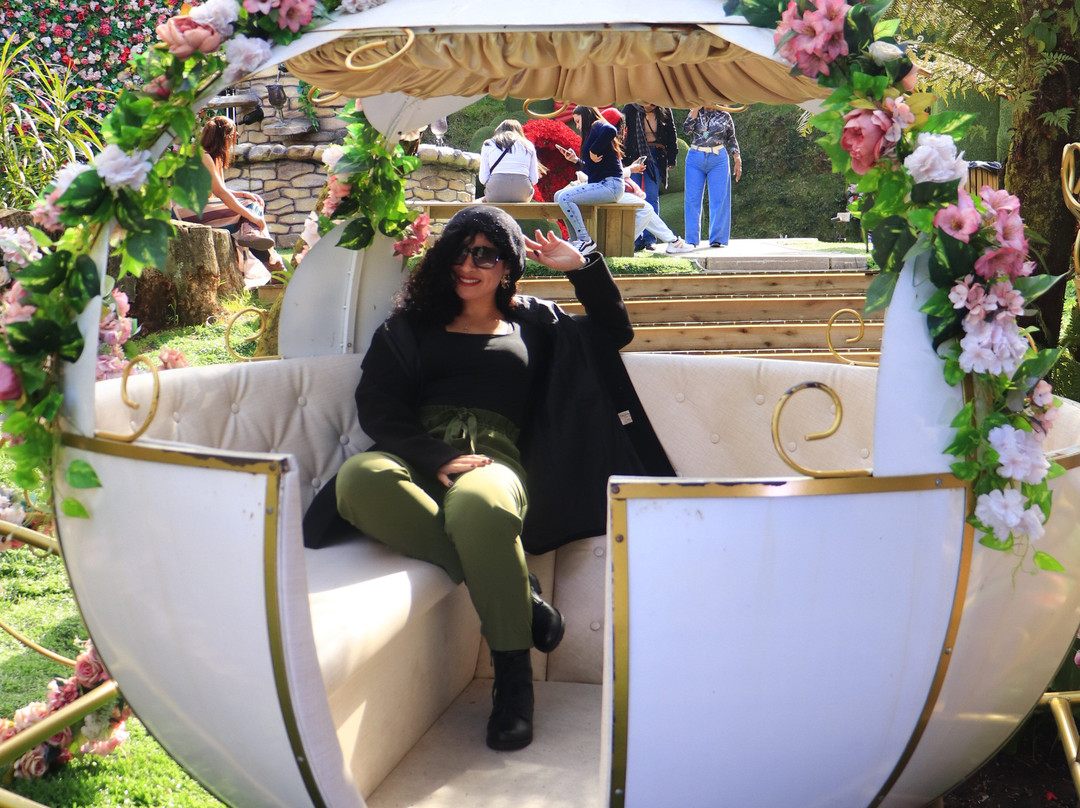 Hortênsias Garden-格拉玛多必去景点