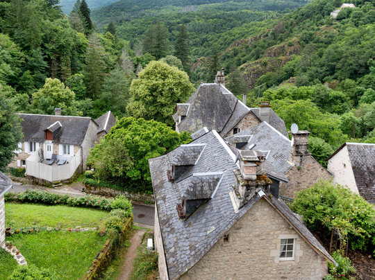 Ruines Château De La Roche Haute