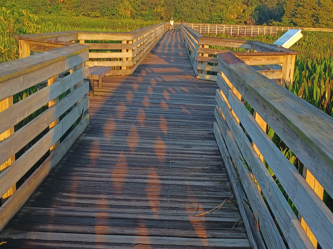 Green Cay Nature Center and Wetlands-博因顿海滩必去景点
