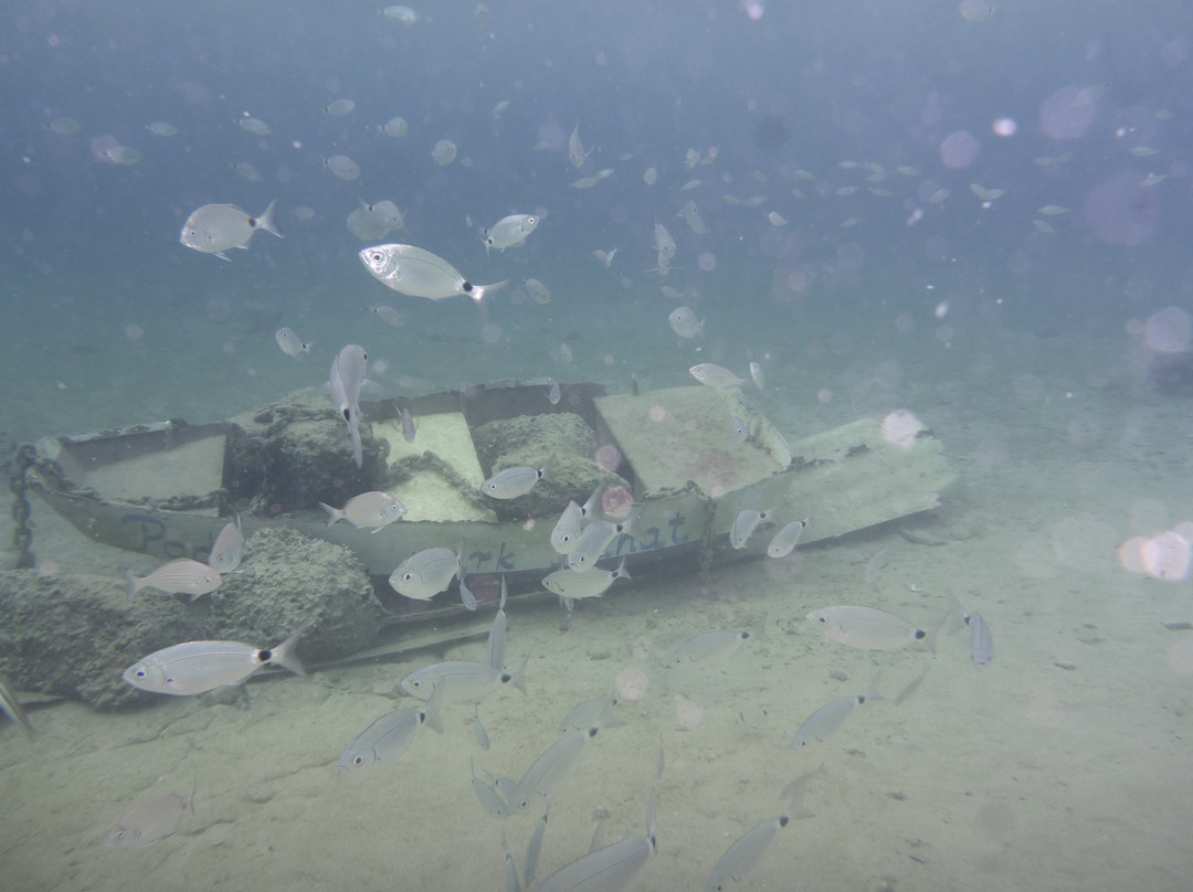 Underwater park Punat-普纳特必去景点