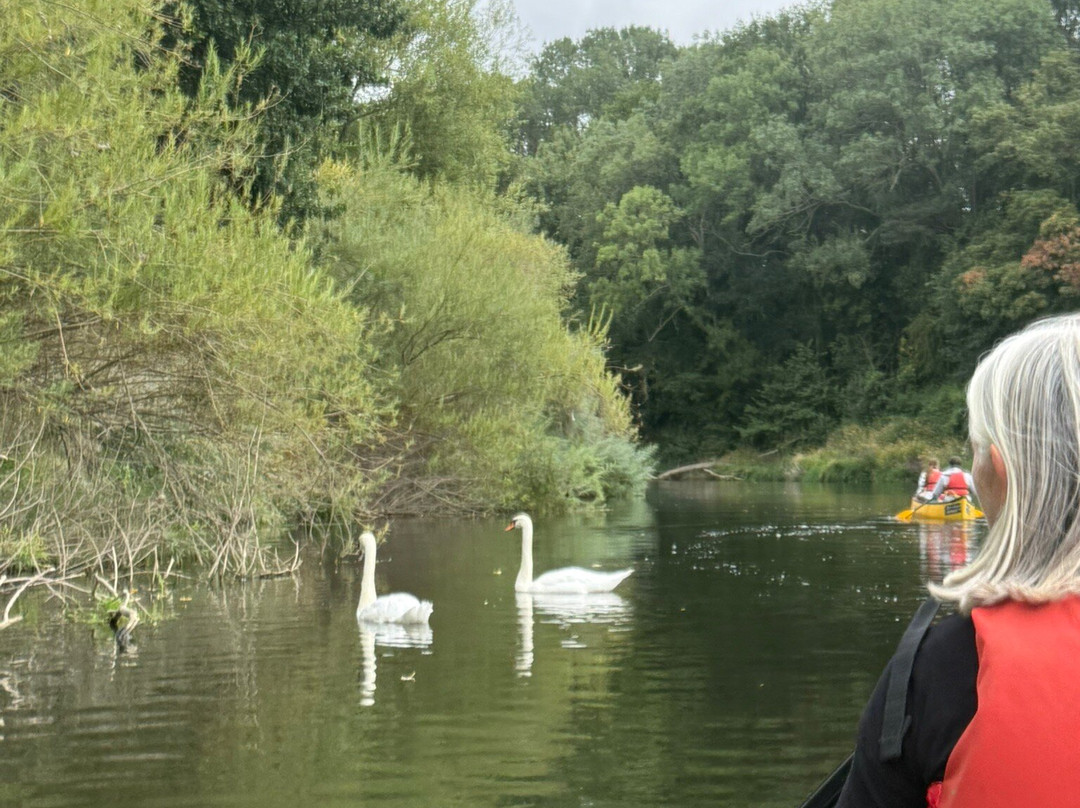 Hire a Canoe-什鲁斯伯里必去景点