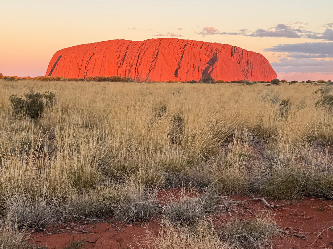 Untamed Escapes-阿德莱德必去景点