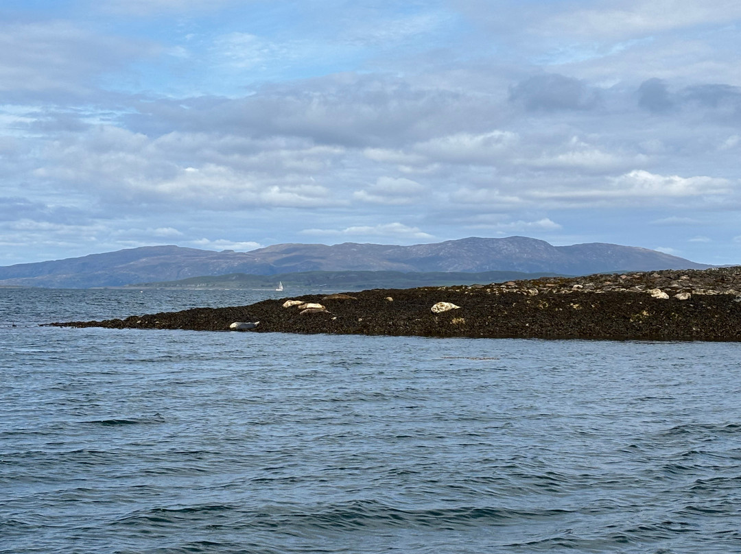 Argyll-Sea Tours-奥本必去景点