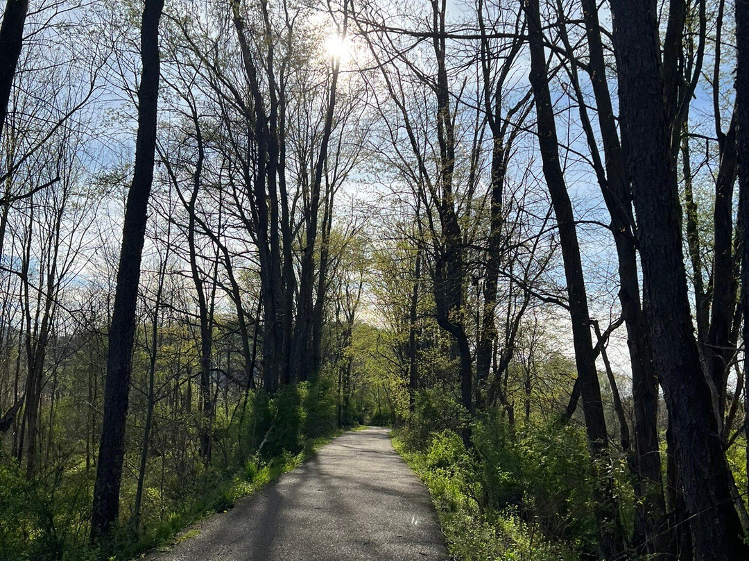 Hampton Inn & Suites Olean主图