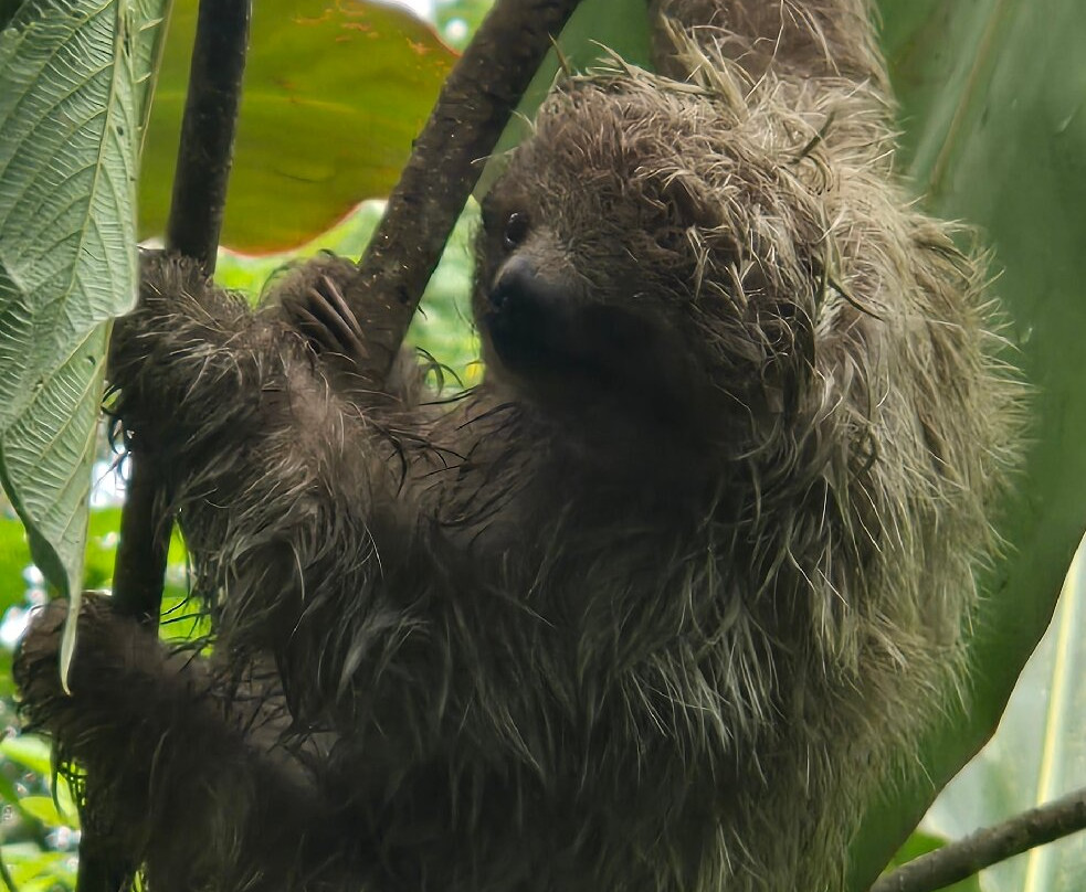 Spring Paradise Bijagua Tours-Bijagua de Upala必去景点