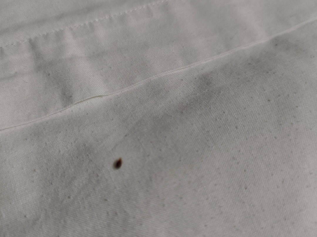 Hotel Relais Ras El Maa主图