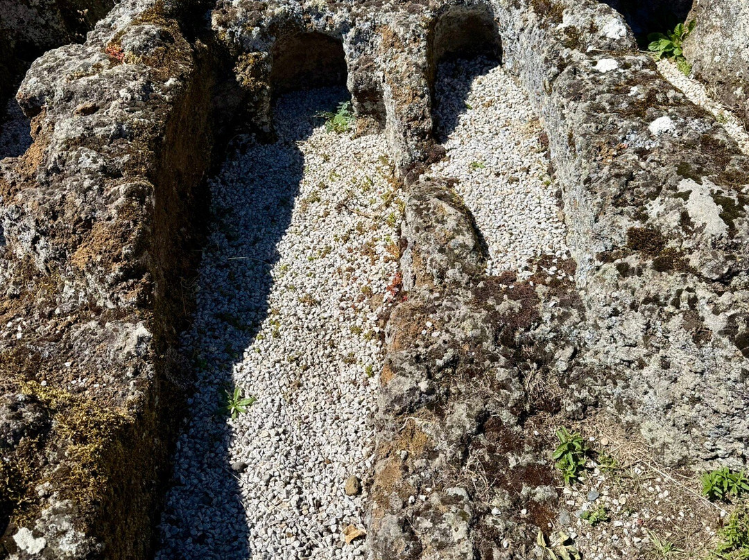 Fortresse de Polignac-Polignac必去景点